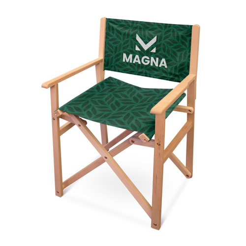director-chair-product-image-500x500-4.png