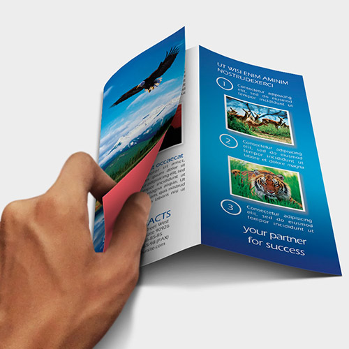 folded-leaflets-hand.jpg